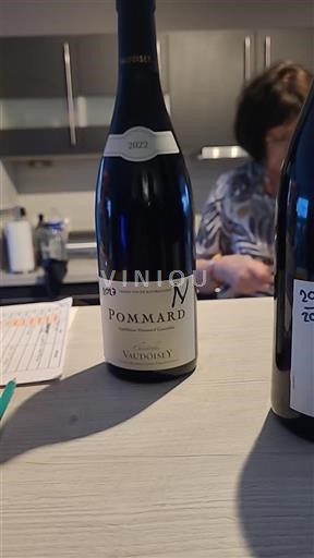 Bourgondië Pommard Vadoisey 2022