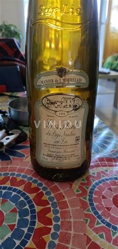 Valle della Loira Gros-plant-del-paese-nantese Manoir De L'hommelais 1998
