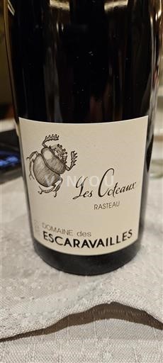 Valle del Rodano Rasteau Domaine Des Escaravailles Les Coteaux 2021