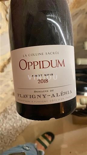 Elsass Pinot Noir Grand Cru Domaine Flavignyalésia La Colline Sacr%c3%a9e 2018
