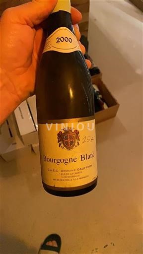 Bourgogne Ospecificerad Domaine Gauffroy 2000