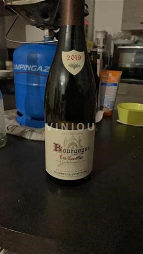 Bourgogne Domaine Dubreuilfontaine Les Crenilles 2019