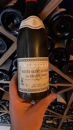 Bourgogne Nuits-Saint-Georges Premier Cru Jules Belin 2005