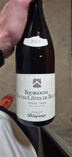 Borgoña Hautes Côtes de Beaune Domaine Henri Delagrange Pinot Noir 2023