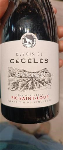 Linguadoca Pic Saint-Loup Devois De Cécélès 1ère Cueillette 2023