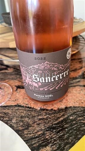 Loire-dalen Sancerre Patrick Noel 2022