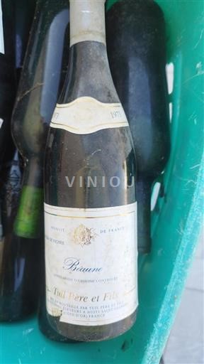 Burgundija Beaune Tuil Père Et Fils 1973
