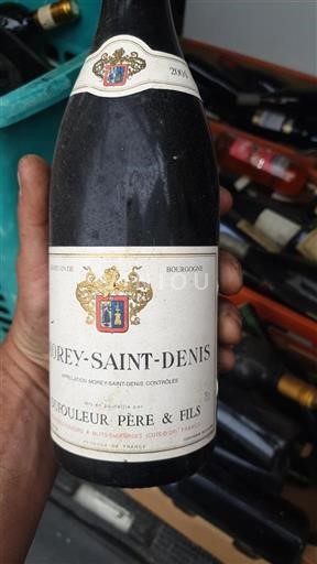 Bourgondië Morey-saint-denis Dufouleur Père & Fils 2004