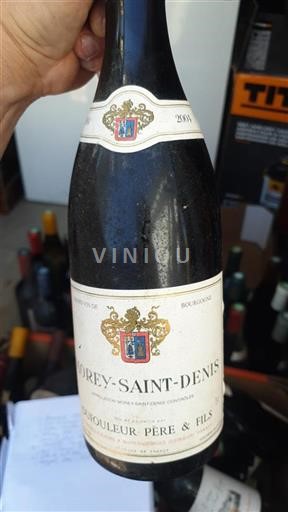 Borgogna Morey-saint-denis Dufouleur Père & Fils 2004