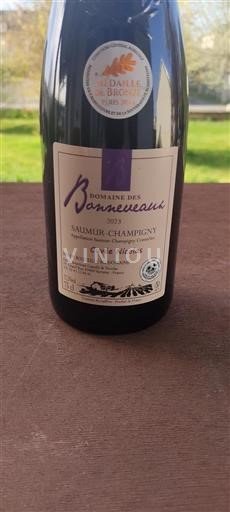 Loire Valley Saumur-Champigny Domaine Des Bonneveaux Nicolas 2023