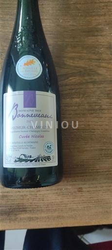 Vin Rouge sec Cuvée Nicolas Domaine Des Bonneveaux 2023 France Vallée de la Loire Saumur-champigny AOC