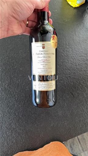 Bordeaux Castillon-côtes-de-bordeaux Château Fleur Fompeyre Vieilles Vignes 2022