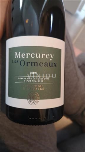 Bourgogne Mercurey Château Etroyes Les Ormeaux 2021
