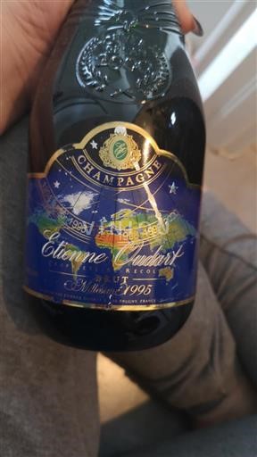 Champagne Etienne Oudart Millésime 1995