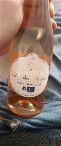 Loire-dalen Saint-Nicolas-De-Bourgueil Nathalie Et David Drussé 2022