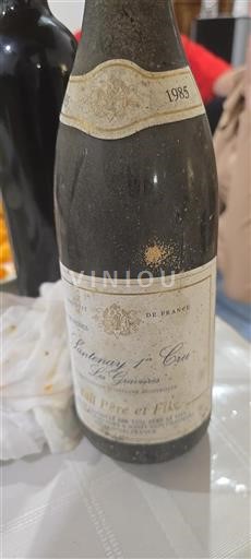 Bourgogne Ospecificerad Premier Cru Tollotbeaut Et Fils Les Gravières 1985