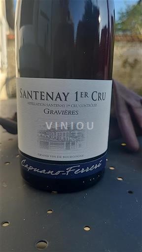 Burgundsko Santenay Premier Cru Capuanoferreri Gravières 2021