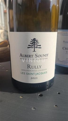 Borgogna Rully Albert Sounit Les Saint-Jacques 2023