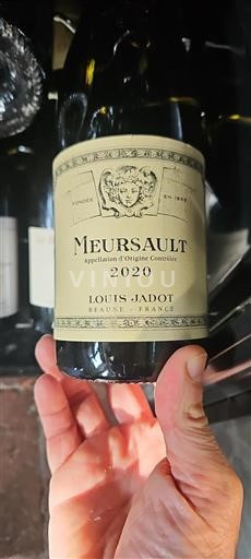 Burgundija Meursault Domaine Louis Jadot 2020