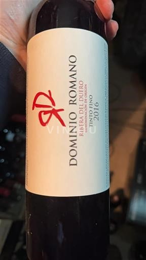 Castiglia e León Ribera del Duero Dominio Romano 2016