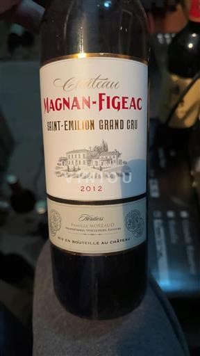 Bordeaux Saint-Émilion Grand Cru Château Magnanfigeac 2012