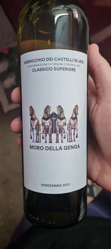 Marche Jesin linnavuorten Verdicchio Moro Della Genga 2023