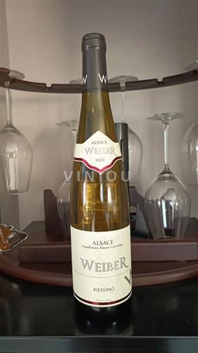 Elsass Weiber 2023