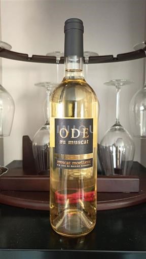 Roussillon Muscat de Rivesaltes Ode Au Muscat Non Millésimé