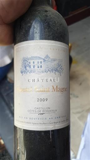 Vin Rouge sec Château Coutet Saint-Magne 2009 France Bordeaux Côtes-de-Bordeaux AOC