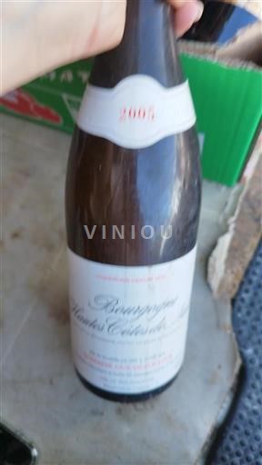 Borgogna Hautes Côtes de Nuits Guy Et Yvan Dufouleur 2005
