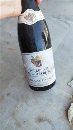 Bourgogne Hautes Côtes de Beaune Grand Cru Dufouleur Père & Fils 2002
