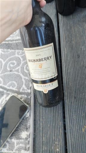 Sydvestfrankrig Irouléguy Cave Irouleguy Mignaberry 2015