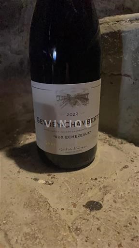 Borgogna Gevrey-Chambertin Aux Echezeaux 2022