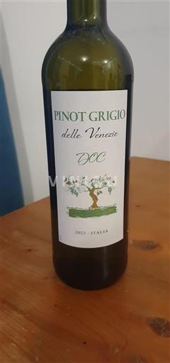 Wines of Veneto Delle Venezie Giulia Pasotti 2022