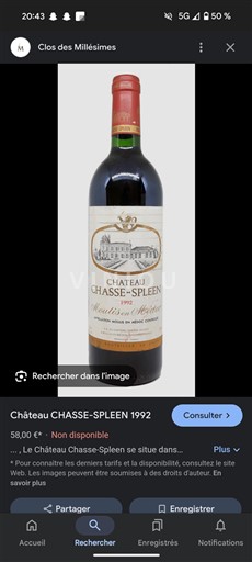 Bordeaux Moulis-en-Médoc Château Chassespleen 1992