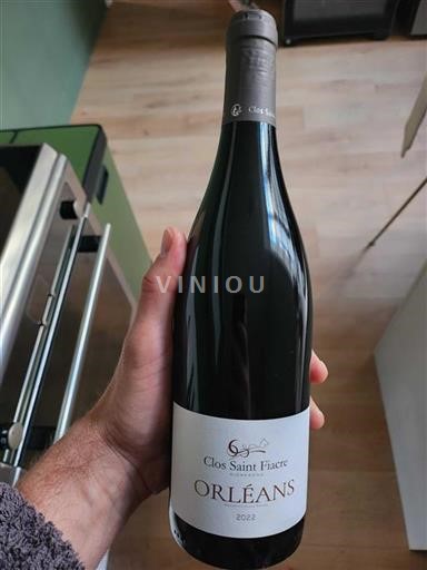 Valle della Loira Orléans Clos Saint Fiacre 2022