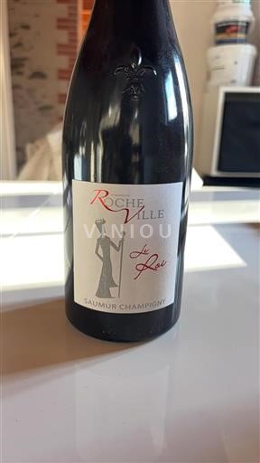 Loirevallei Saumur-champigny Rocheville Le Roi Niet-geïntegreerd