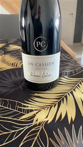 Elsass Pinot Noir Pierre Colin En Cassien 2022
