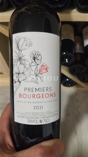 Vin Rouge sec Premiers Bourgeons Château Haut-Meyreau 2021 France Bordeaux
