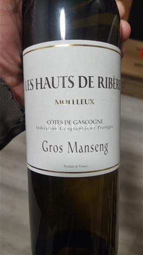 Sydvestfrankrig Côtes de Gascogne Les Hauts De Ribère Gros Manseng Ikke årgangsbestemt