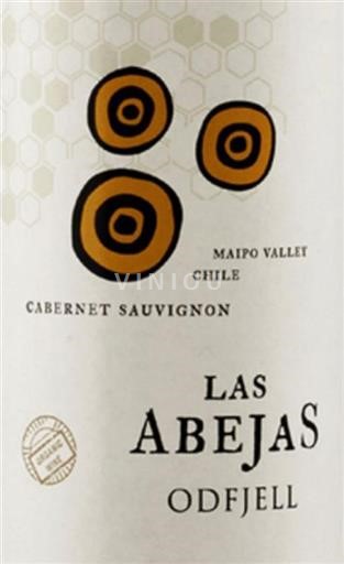 Valle de Aconcagua Aconcagua Andes Odfjell Las Abejas 2016