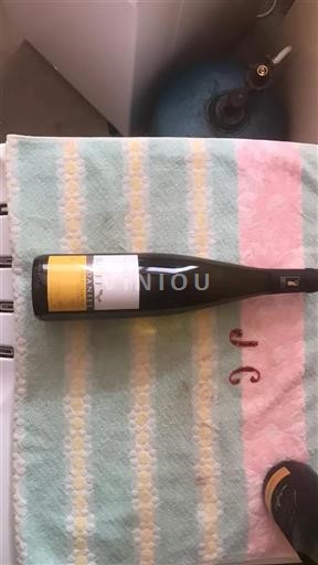 Elsass Grauburgunder Domaine Daniel Ruff 2021