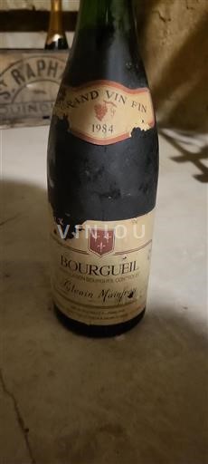 Loirevallei Bourgueil Sylvain Mainfroy 1984