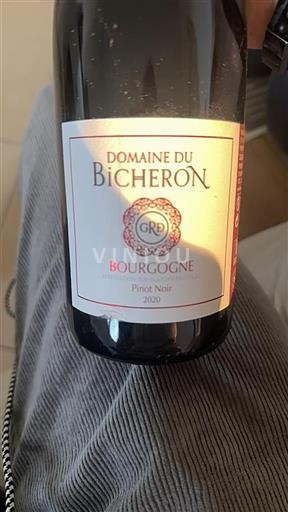 Borgoña Domaine Bicheron 2020