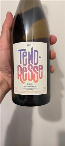 Alsace Pinot blanc Scev Payen Tendresse 2023
