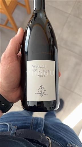 Valle del Loira Anjou Domaine Clayou Expression de Chenin 2022