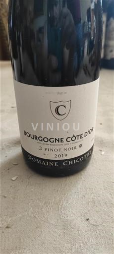 Bourgogne Bourgogne Côte d'Or Domaine Chicotot 2019