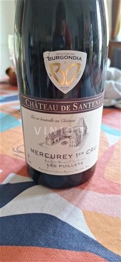 Burgund Nicht spezifiziert Premier Cru Château Santenay Les Puillets 2011