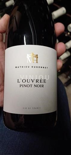 Bourgogne Ospecificerad Mathieu Hugonnot L'Ouvrée Icke årgångsbetecknad