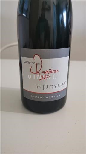 Valle della Loira Saumur-Champigny Domaine Des Raynières Les Poyeux 2018